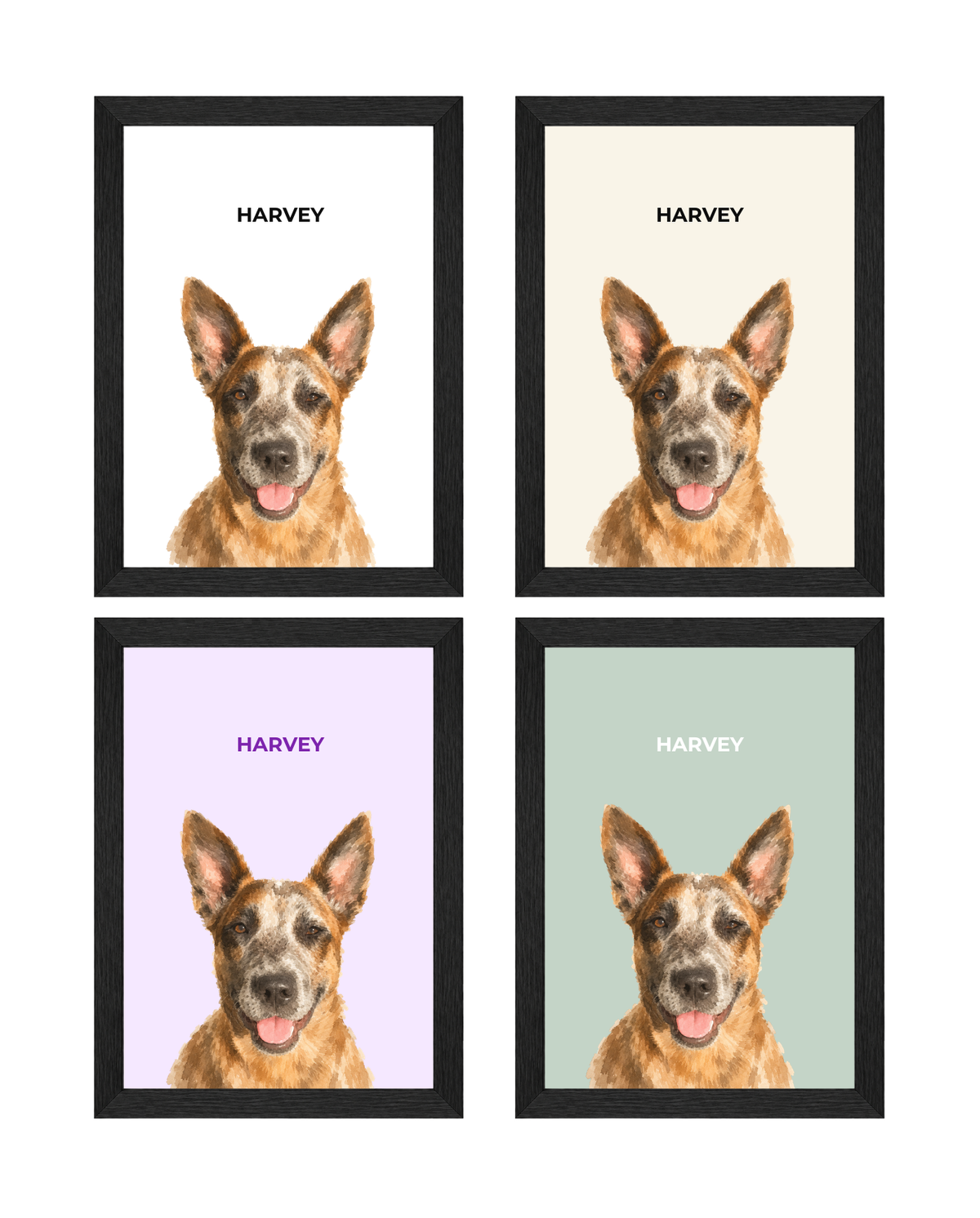 Custom Illustrated Pet Portrait Art