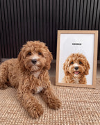 Custom Illustrated Pet Portrait Art