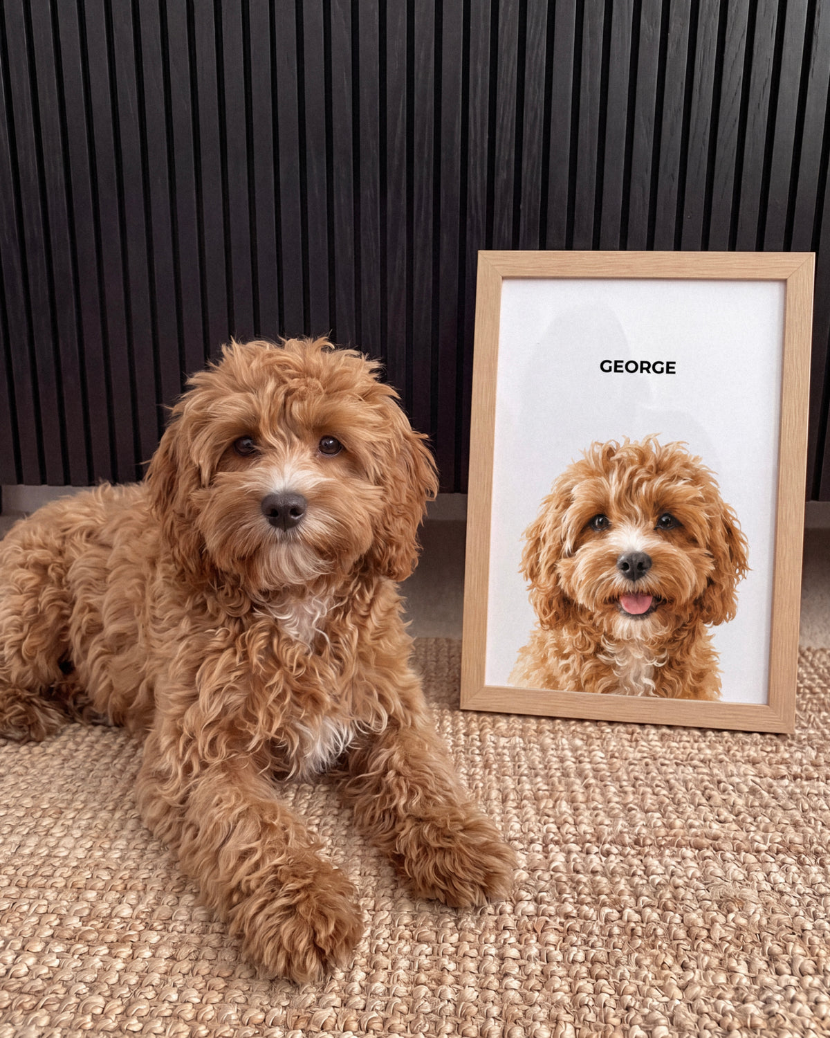Custom Illustrated Pet Portrait Art
