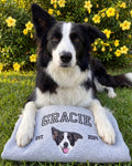 Custom Embroidered Pet Portrait College Jumper