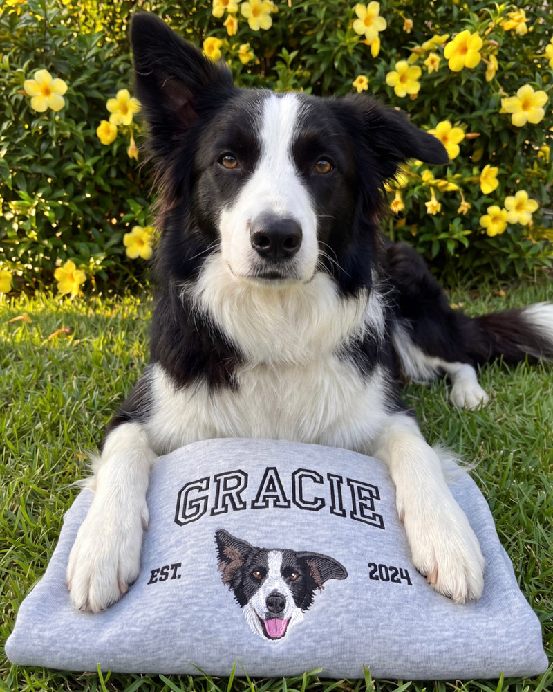 Custom Embroidered Pet Portrait College Jumper
