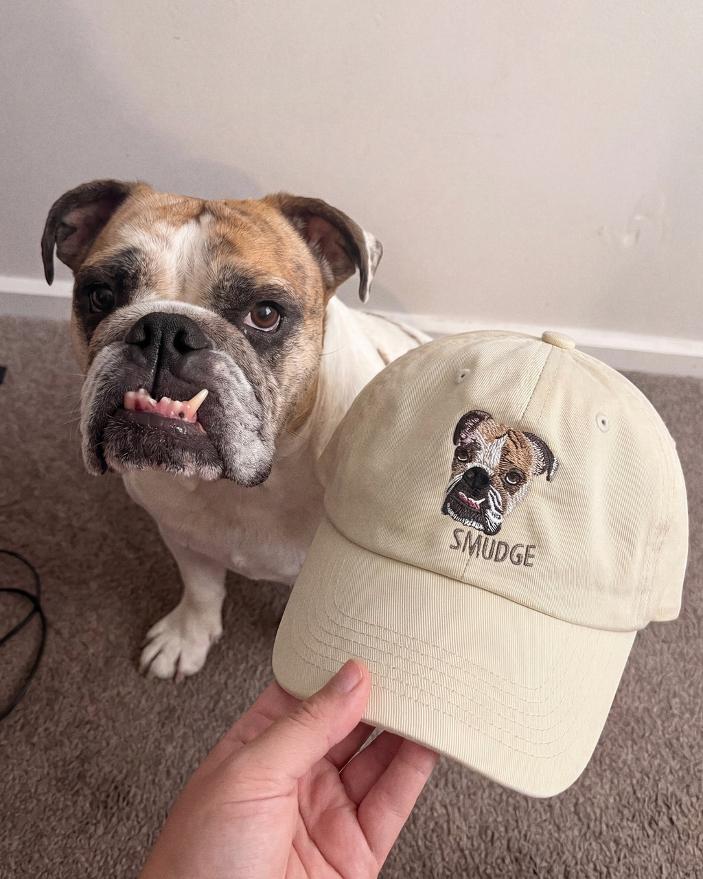 Custom Detailed Pet Hat