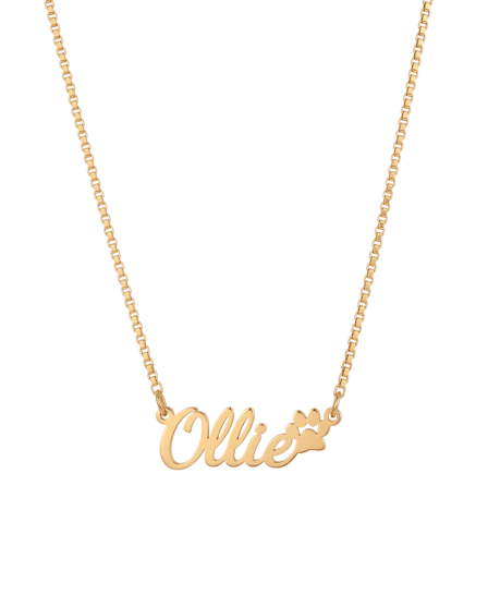 Custom Paw Print Name Necklace
