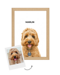 Custom Illustrated Pet Portrait Art