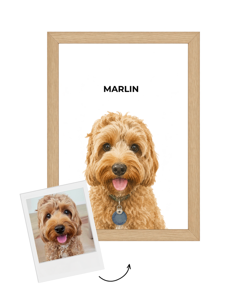 Custom Illustrated Pet Portrait Art